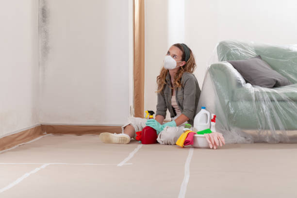 Reliable Basement Mold Remediation contractor in Grand Rapids, MI by Mold Remediation HQ